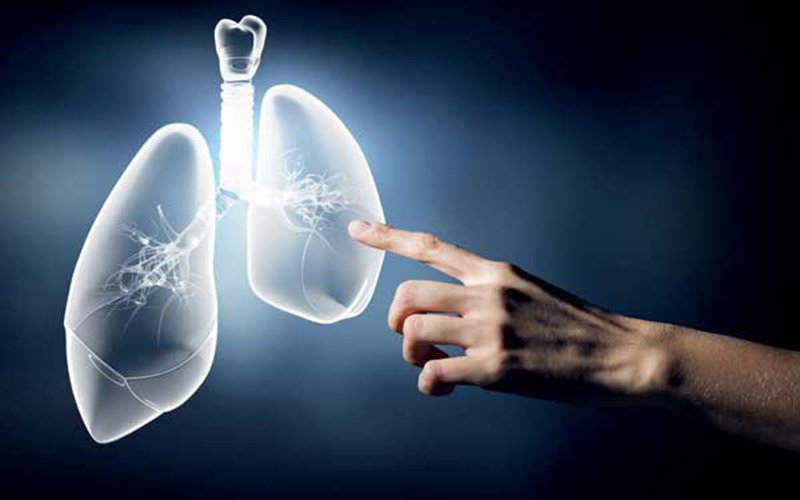 Viêm phổi tăng cảm do bụi hữu cơ
