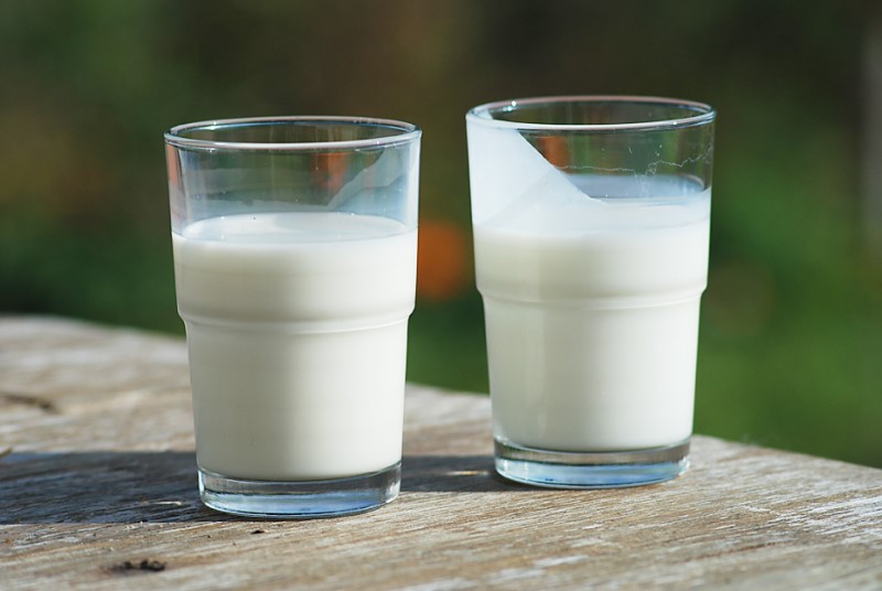 Không dung nạp Lactose có trong sữa cũng có thể gây tiêu chảy cấp